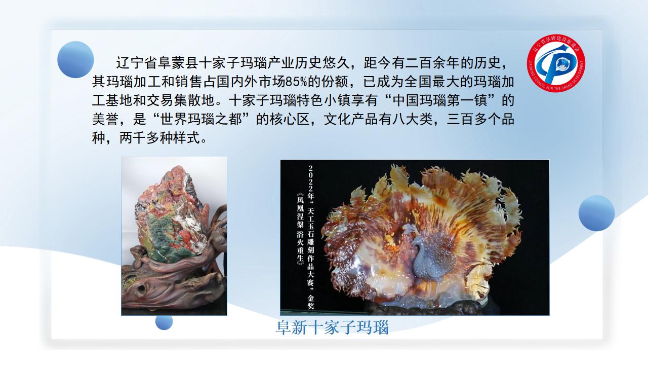 品牌价值 引领消费（终版）_05.jpg