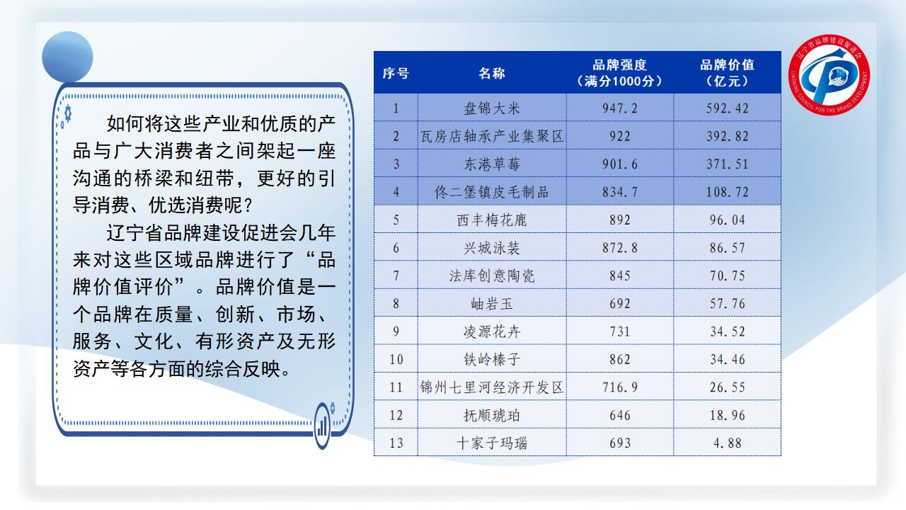 品牌价值 引领消费（终版）_15.jpg